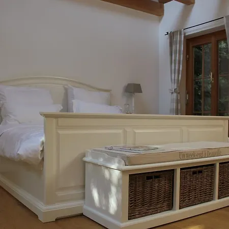 Wildwuchs Luxury Homes